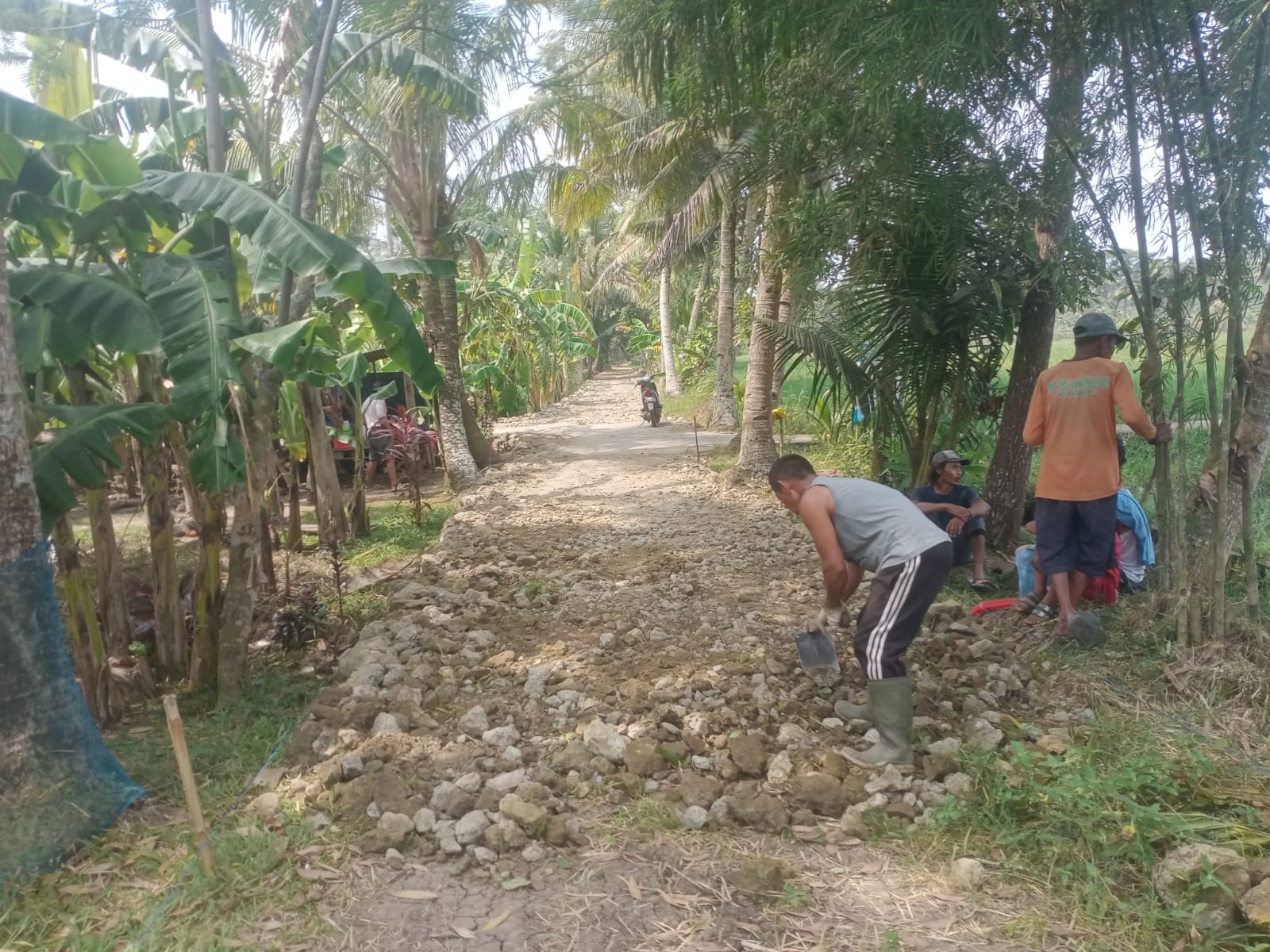 pemadatan-rintisan-jalan-terbis-rw-06-1-46.5% 21/5/2026  +- 200meter