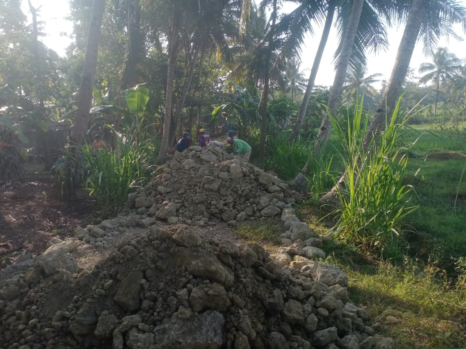 pemadatan-rintisan-jalan-terbis-rw-06-1-24% 2/6/2026 