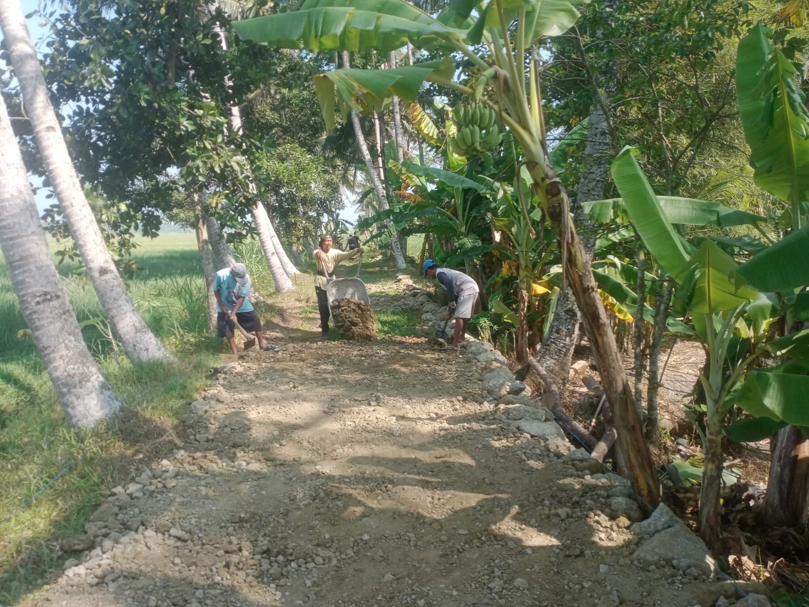 pemadatan-rintisan-jalan-terbis-rw-06-1-63,9% 9/6/2026 total pekerjaan 275 meter