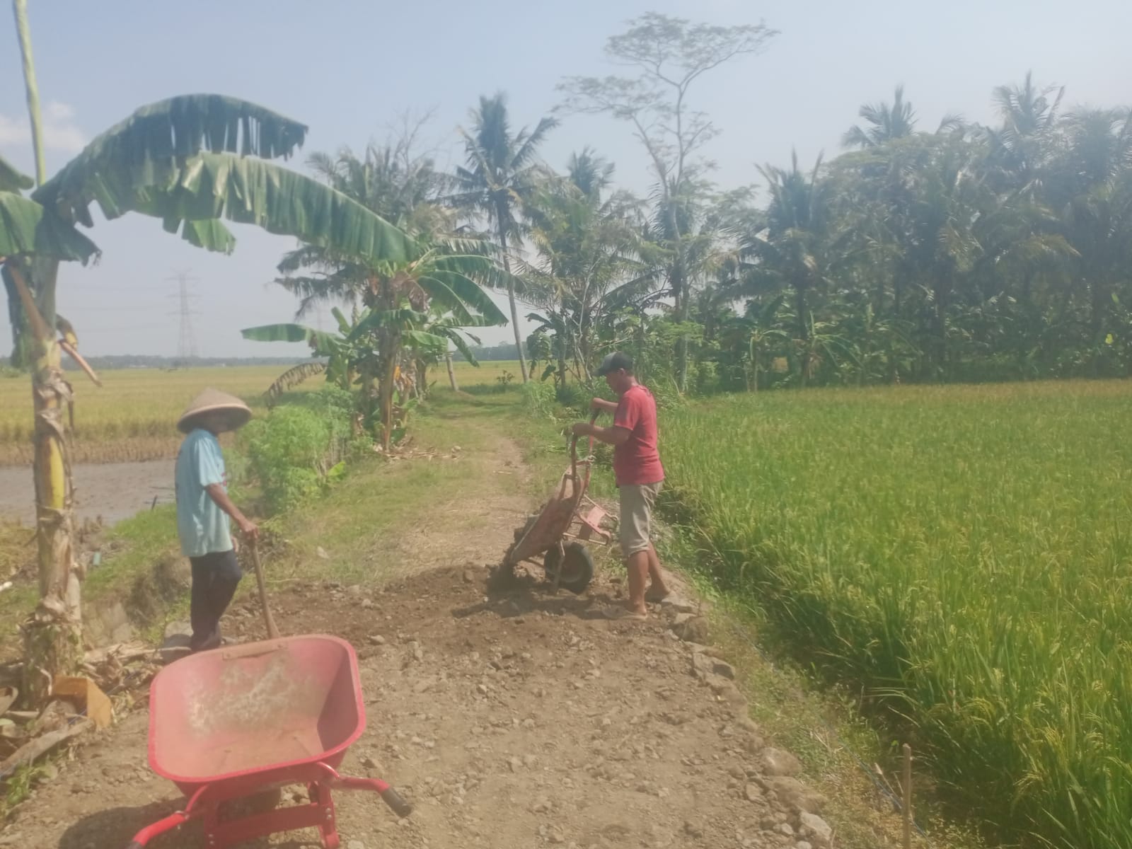 pemadatan-rintisan-jalan-terbis-rw-06-1-118% 22/6/2026 pengerjaan sampai 510 meter