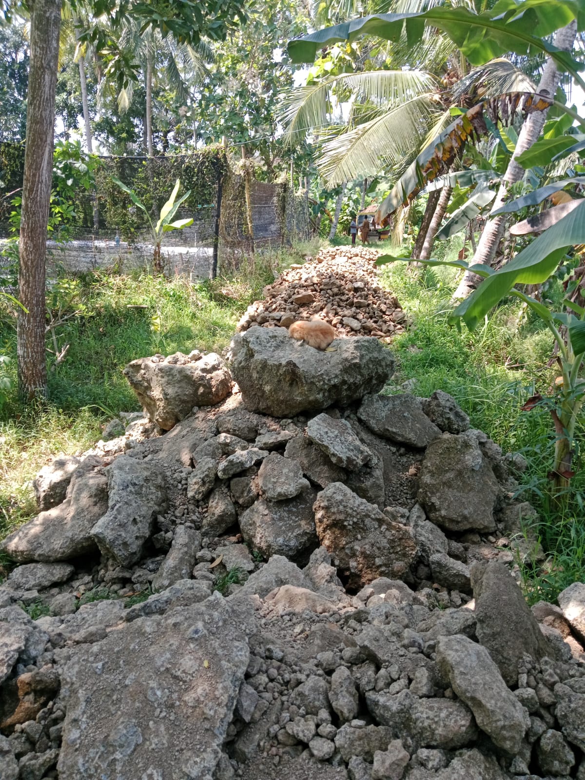 pemadatan-rintisan-jalan-terbis-rw-06-1-20